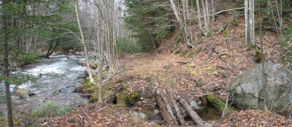 25 no-cut zones on perennial streams to promote natural loading of downed wood.