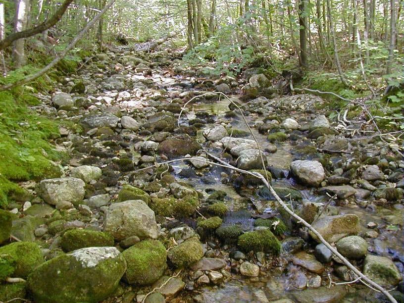 Will Increased Wood Loadings (LWD) in the Future Mitigate Climate Change Impacts Stream Habitats? Case Study: Great Brook Wood Addition Project 1100 acres purchased by WMNF in 1975.
