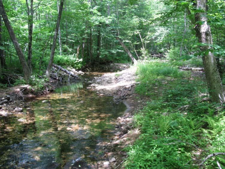 Great Brook Lower