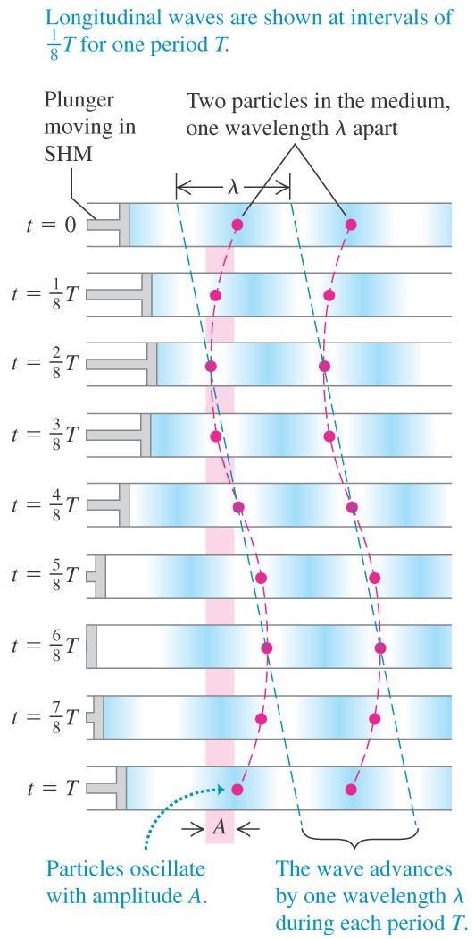 Periodic longitudinal waves For the longitudinal