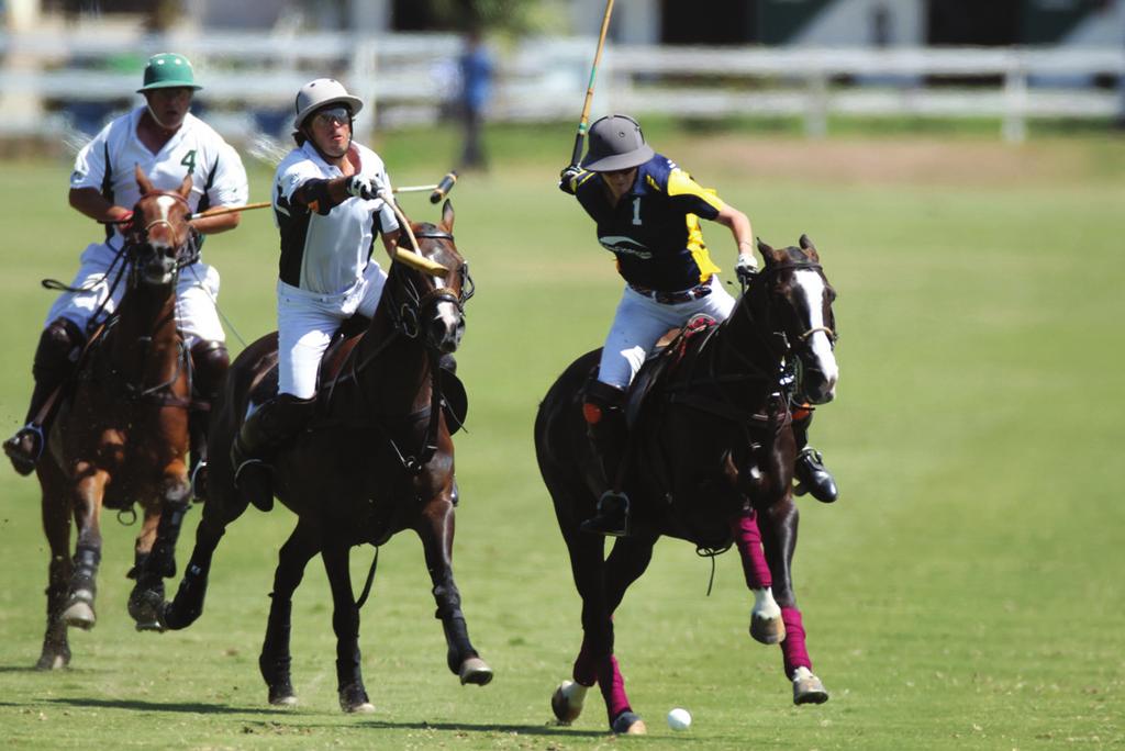 JULY AND AUGUST #PoloinParadise SUMMER LOW GOAL PAIRS LEAGUE Players sign up in 3-5 goal pro-patron pairs.