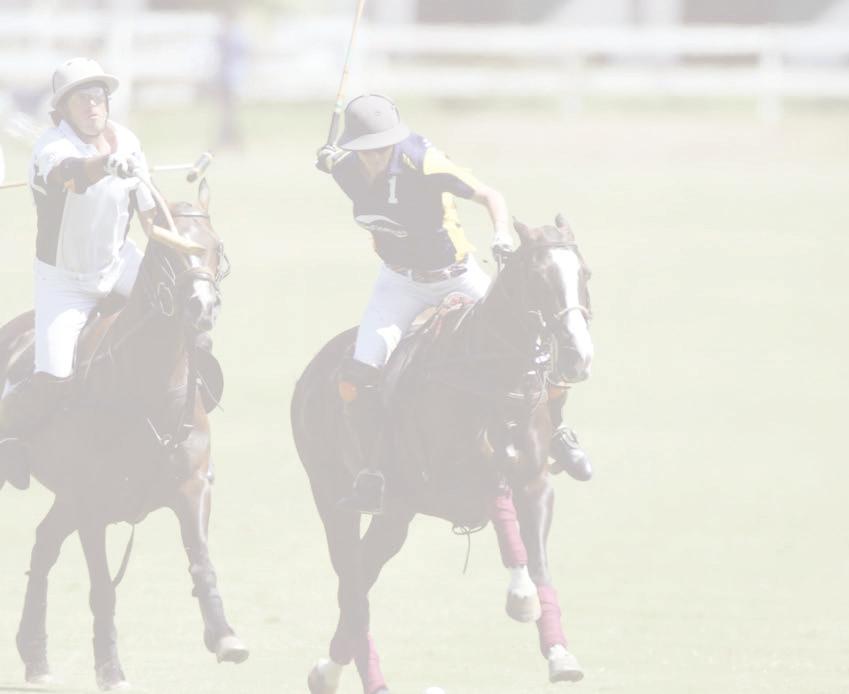 The Pairs League includes Tuesday practice and Thursday/Saturday 6 chukker match game.