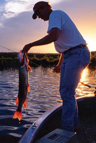 Economic Contributions by Type of Fishing All Fishing Freshwater Saltwater Great Lakes Anglers 29,952,000 25,035,000 8,528,000 1,506,000 Expenditures/ Retail Sales $45,335,939,822 $31,182,648,546