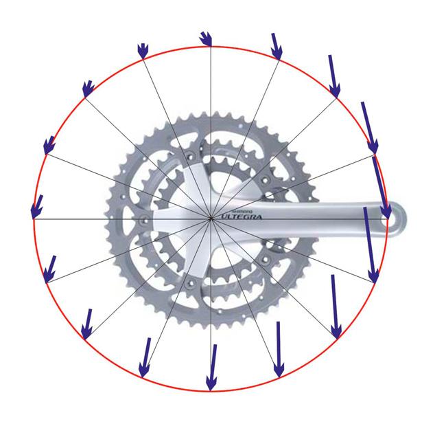 3214 F. Höchtl et al. / Engineering 2 (2010) 3211 3215 Fig 4: Pedal force direction and magnitude during crank rotation Fig. 4 visualises the resulting pedal forces during one rotation.