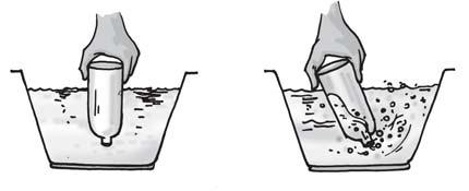 Fig. 15.4 Experiments with an empty bottle. Now, dip the open mouth of the bottle into the bucket filled with water as shown in Fig. 15.4. Observe the bottle. Does water enter the bottle?
