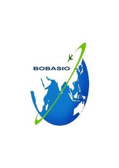 BOBASIO/5 IP06 31 st August-2 nd September 2015 The Fifth ATS Coordination meeting of Bay of Bengal, Arabian Sea and Indian Ocean Region (BOBASIO/5) New Delhi, India, 31 st August -2 nd September,
