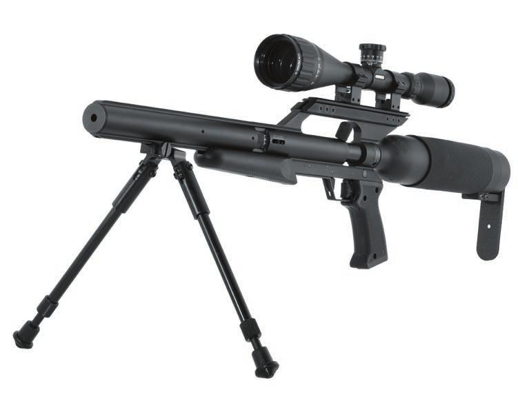 TalonSS The Quiet Rifle For Backyard Target Practice Or