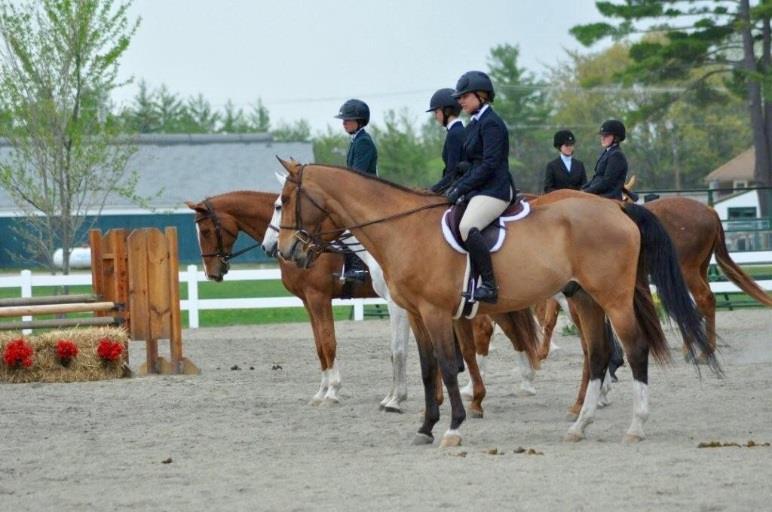 3 Open Hunter Open to any NHHJA member in good standing who has competed in any Hunter division at a 2015 NHHJA show. Riders to show over a minimum of eight (8) fences. Fence heights not to exceed 3.