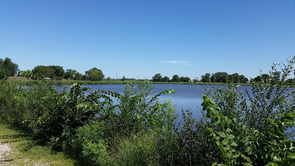 Rocky Pond, located in Belleville, is nearly full in August 2015 after