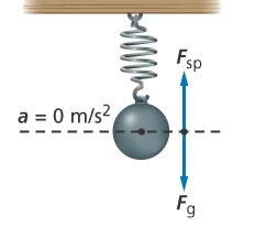 14.1 Periodic Motion Potential Energy When an object hangs on a spring, the spring stretches until its upward