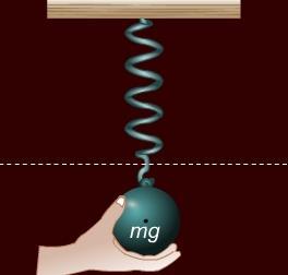 14.1 Periodic Motion Potential Energy If you pull the object down, the spring force increases, producing a net force upward.