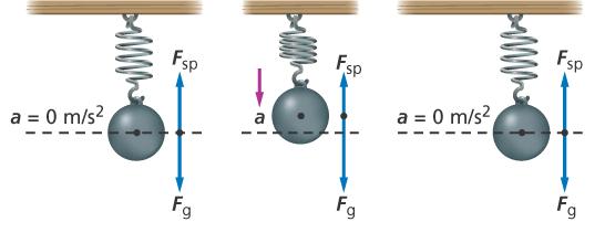 14.1 Periodic Motion Potential Energy When the net force is in the direction opposite the displacement of the object and is directly proportional