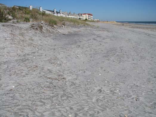 The photograph on the right was taken on October 25, 2011 wind blown sand had accumulated near the dune toe.