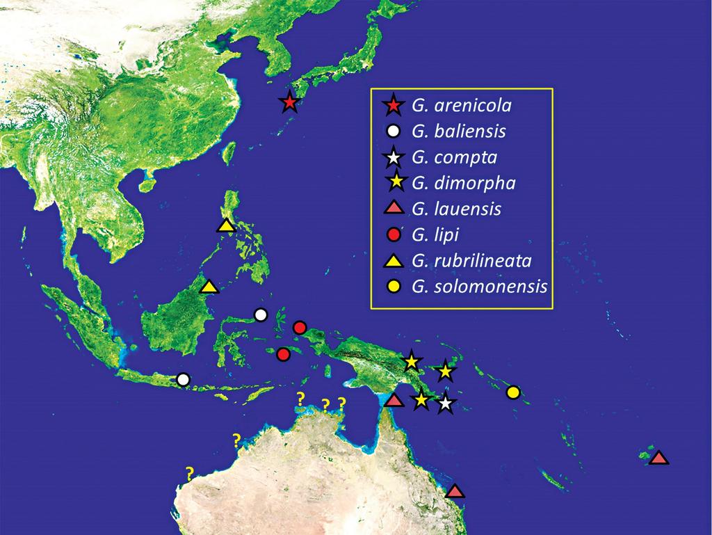 Distribution and habitat. The new species is currently known only from Sideia Island in Milne Bay Province of Papua New Guinea (Fig. 6), but is no doubt more widespread in this large marine province.