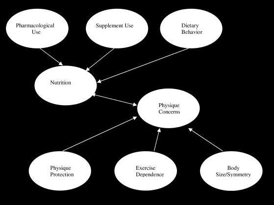 Contributing psychobehavioral factors for muscle dysmorphia. (Copyright 2004.