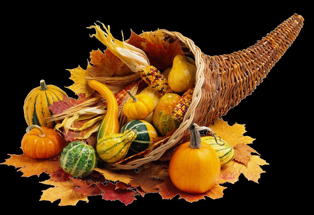 Thanksgiving Events Turkey Bingo Saturday, November 18 Adults &