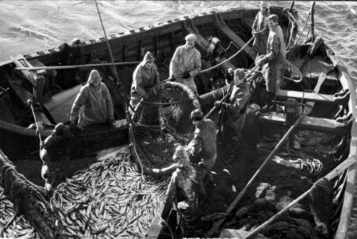 A Historical Example of Fisheries Mismanagement: The Case of Atlanto-Scandian Herring Le