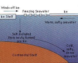 Deep ocean currents are called density currents. The movement of seawater by currents at great depth is called the Thermohaline circulation (Thermo = temperature; haline = salinity).