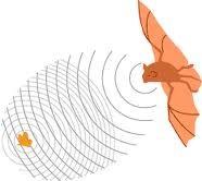 Example: Bat Sonar Bats can locate small objects in the dark Using sound waves!