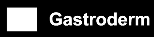 The gastroderm is the inner lining of the gastrovascular cavity, where