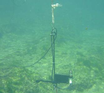 2.2 Physical Environment 2.2.1 Underwater Light Transmission Lower Ichetucknee Baseline Assessment Photosynthetically Active Radiation (PAR) underwater light transmission and attenuation coefficients