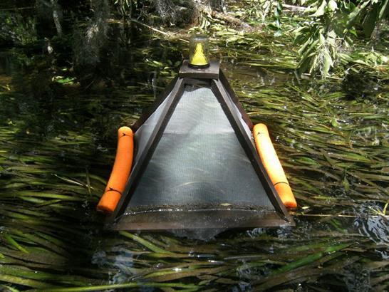 Figure 6. Trap used to collect adult aquatic insects as they emerge from the water 2.3.