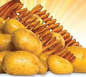 Tornado Potato Chips Fresh whole potatoes with spiral machine onto a stick, fried and seasoned to order.