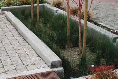 SvR Design Company Infiltration stormwater