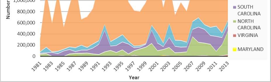 Figure 3. Recreational Harvest of Sheepshead in the South Atlantic Region. Source: Personal communication from National Marine Fisheries Service, Fisheries Statistics Division.