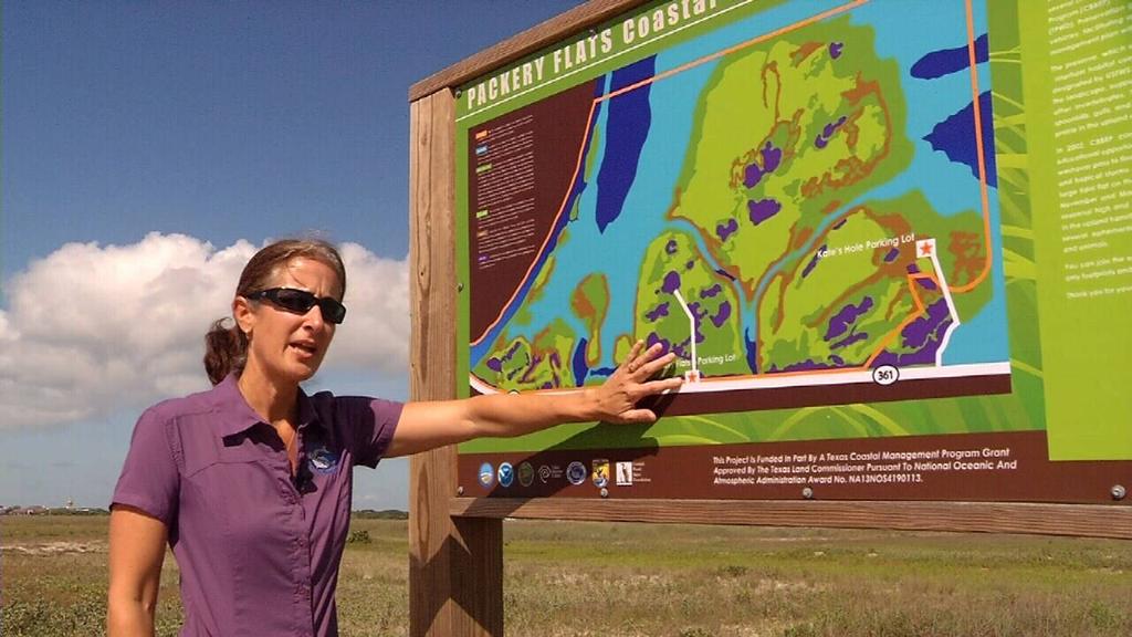 Posted: Jun 22, 2016 1:30 PM CDT Updated: Jun 22, 2016 5:43 PM CDT Wildlife sanctuary gets big grant to protect habitat By Samantha Miles CORPUS CHRISTI - Driving down Highway 361, you may think the