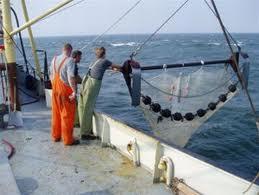 Fishing methods The