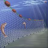 Fishing methods Drift nets or Gillnets Bottom gillnet Gillnets are not only found near