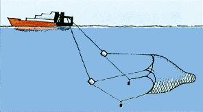 Vessel engaged in trawling Rule 26 (b) PELAGIC TRAWLING This is far too close Some trawlers may pull their trawl net at a considerable high speed of