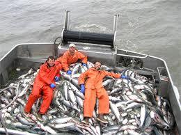 Vessels engaged in fishing other than