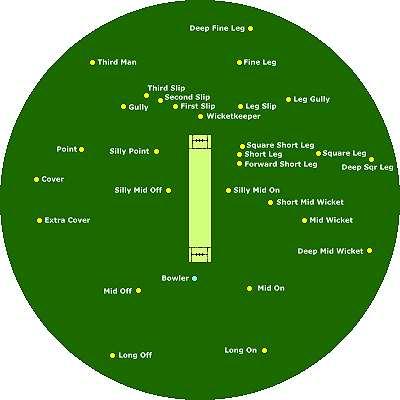 Travellers Sports Cricket Coaching Manual - Page 2 of 11 TABLE OF CONTENTS INTRODUCTION... 2 DIMENSIONS OF THE PITCH & CRICKET POSITIONS... 2 WARM UP... 3 COOL DOWN... 3 FIELDING... 3 BATTING.