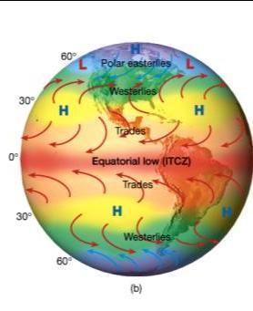 The most permanent belts are found over the oceans World pressure belts Pressure Gradient Force and Coriolis Force in Creating a Tri-Cellular Circulation of the Hadley, Ferrel and Polar Cells and the