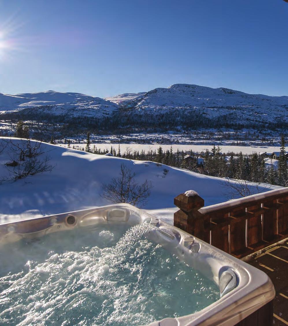 4 utility Running a hot tub requires energy, so it should be no surprise that your electric bill will go up.