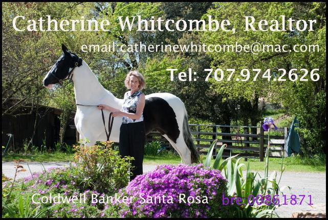 www.winecountrydressage.org Fall 015 FOR LEASE OR SALE at Sanbar Dressage on Lakeville Hwy, Petaluma. This sweet, good moving and sound 1999 16.1 TB mare has been successful in multiple disciplines.