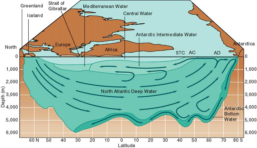 Thermohaline Circulation This cross-section through the Atlantic from north (left) to south (right) shows