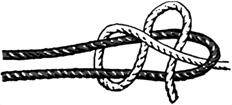 Tiller's Hitch Timber Hitch Two Half Hitches A tiller is the "steering wheel" of a sailing vessel and is simply a long handle that's attached to the top of the boat's rudder (the piece in the water