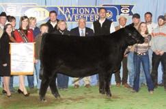 KRAMER LADY FAMILY TOP LINE LADY 9111 - The dam of Lots 1, 25, 34, 34A and 34B.