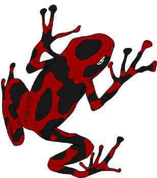 Dart Frog lives in South America.