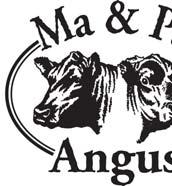 BULL SALE Monday, April 29, 2013 1 PM CT Presho Livestock Auction 60 Yrlg Angus Bulls Free Bull Delivery up to 200 Miles Lunch: Please come early and join us for a complimentary lunch.