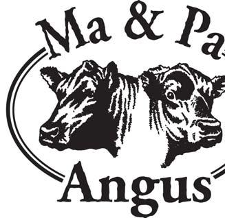 Terms & Conditions: All cattle sell according to the standard terms and conditions of the American Angus Association.