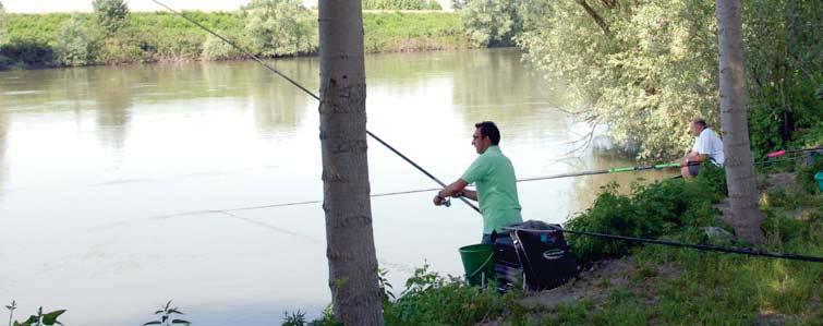 net Falcon 25 MX is the perfect rod for being used with elastic for fishing carp fishing in