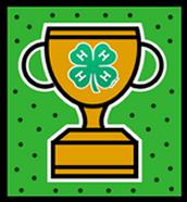 edu/content/2017-4-h-fair-projects-county-state-fairs. 4-H Awards Banquet The theme is what else??? 4-H!!! Join us for a night of celebration as we recognize our members and leaders for their hard work during the 2015-2016 program year.