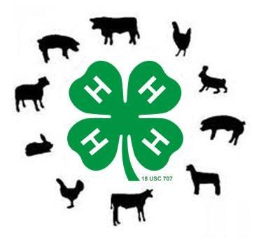 Using the 4-H for Health Challenge Tracker in the challenge leader's packet below, record at least four dates that you chose to drink water, eat fruits or vegetables or was physically active for at
