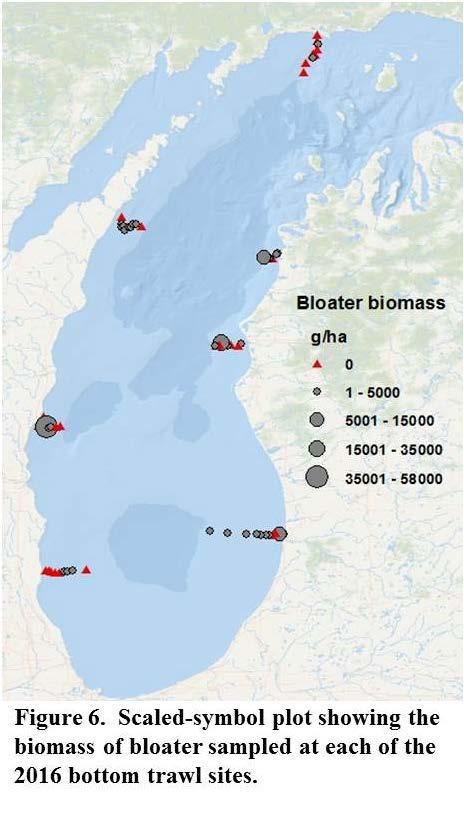 Figure 5. Panel (a) depicts biomass density (+/- standard error) of adult bloater in Lake Michigan, 1973-216.