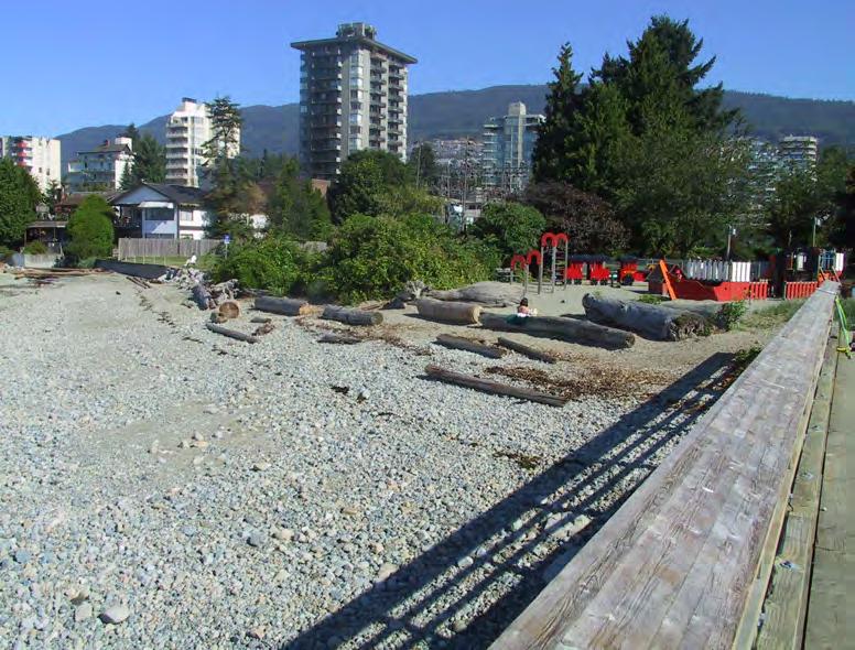 Reconnecting the seawalk to the shore by replacing the existing hard-faced sea wall with a natural sloping shoreline improve