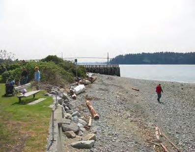 Creation of a new pedestrian trail connecting the site to Lawson Creek and Ambleside Elevation of the upper shore to the